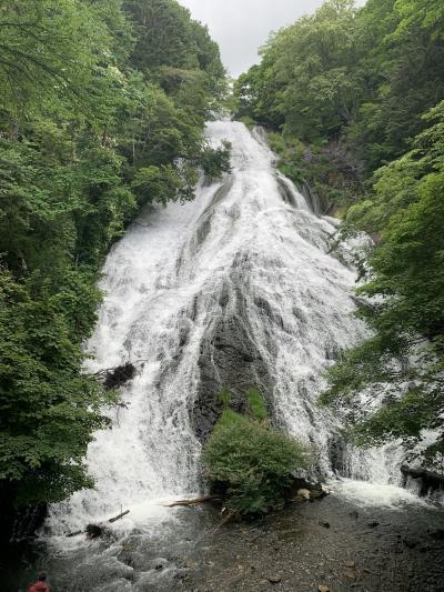 涼を求めて奥日光へ