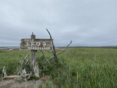 道東の野付半島を観光