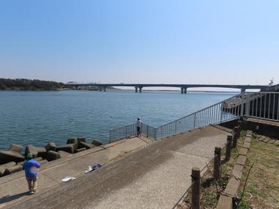 神奈川 平塚 馬入川(Banyu-gawa River,Hiratsuka,Kanagawa,Japan)