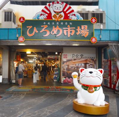 やっぱり北川村「モネの庭」と「牧野植物園」へも行きたくて高知へ☆.｡.☆:*･雨の高知市内観光☆･ﾟ:*