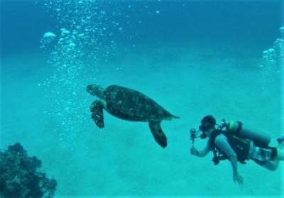 久々のコスメル・ダイビング!午後は天候が崩れカレントも強かったので2日間で控えめに4ダイブしました。