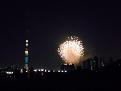 隅田川花火大会2014in汐入公園