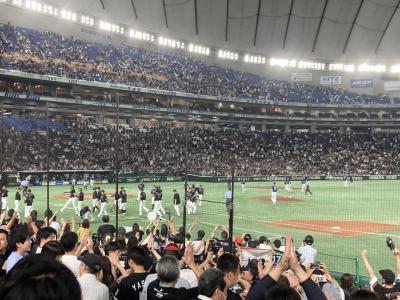 ４年ぶりに東京ドームでホームゲーム開催された千葉ロッテマリーン対埼玉西武ライオンズ戦を観戦しました。