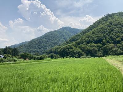 危険な暑さの中　井上山　大洞山で山行