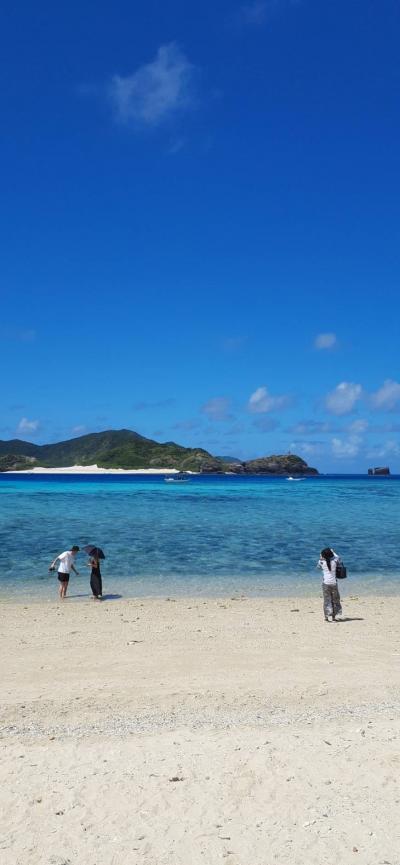 沖縄本島9泊10日周遊旅-2～4日目 毎日慶良間諸島日帰り