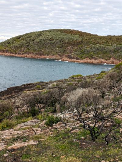 シドニー近郊に宿泊&ドライブ フィンガル・ベイ 穴場スポット発見!【 Barry Park 】