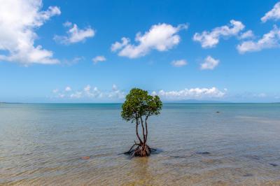 【３日目（終）】目指せ、日本最南端！波照間島の旅