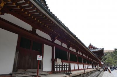 春のいざいざ奈良旅♪　Vol.438　優雅な奈良散歩：奈良公園・東大寺♪