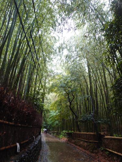 半日観光～京都　雨の嵐山散策