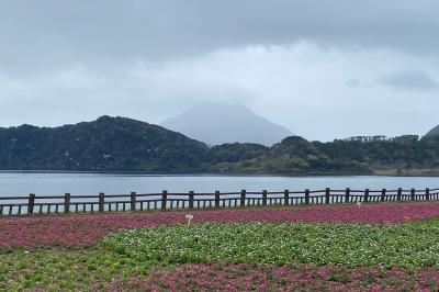 2023.3　全国割で鹿児島旅 ③　指宿 池田湖から 鹿児島市内観光