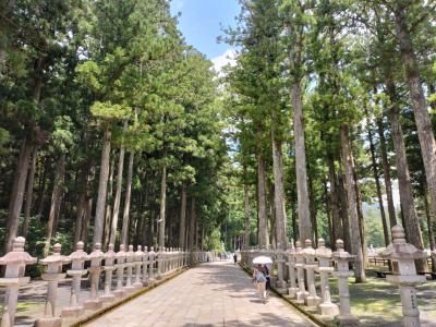 夏の高野山で避暑。下界より少し涼しいですね