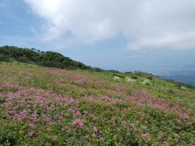 2023・夏休み★お手軽百名山Hiking@伊吹山