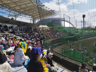 沖縄 阪神タイガース宜野座キャンプ見学旅沖縄5日目最終日