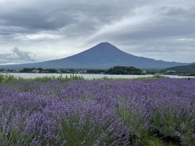 帰省ついでに花を楽しむ