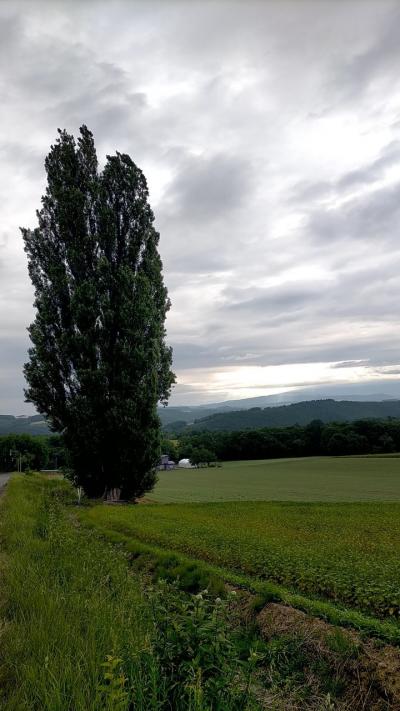 初夏の北海道・ならではの景色を求めて