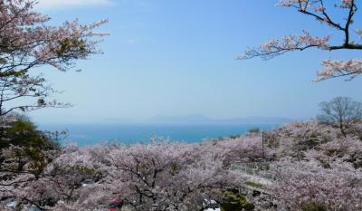 ２０２３年４月　山口県　竜王山の花見とさくらまつり