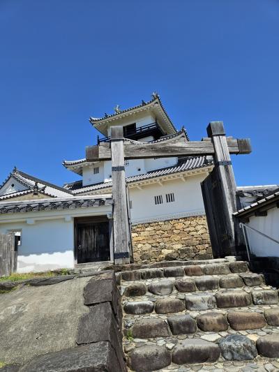 【日本百名城】掛川城へお久しぶりに