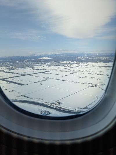 寒い札幌でのリモートワーク