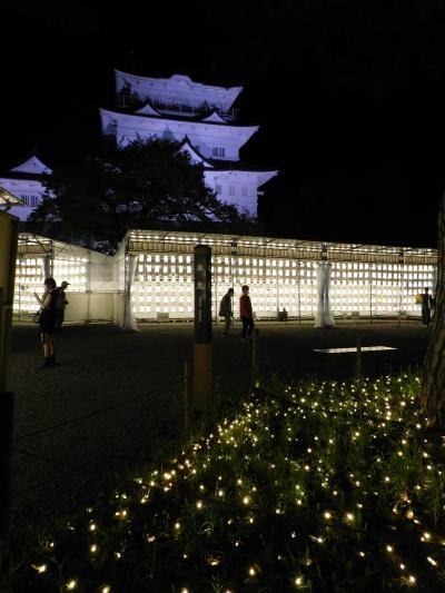 猫探し【神奈川・小田原提燈祭りと箱根登山鉄道編】