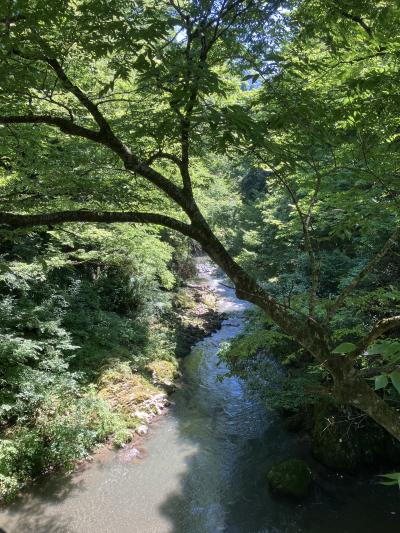 グルメと自然を満喫！福井をぐるっと1周の旅