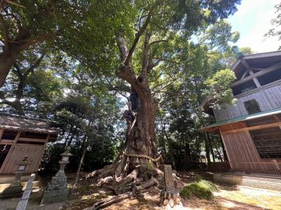 今年も夏の熱川旅行②