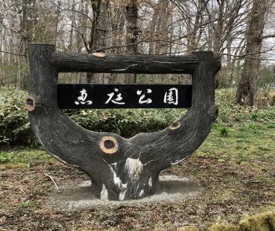 ユカンボシ川の源流を持つ恵庭公園の散策日記　春を探しに、、、。