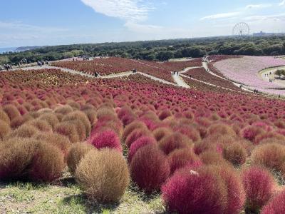 ひたちなか⑦