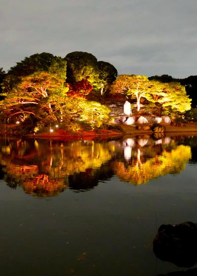 【東京良爺散歩　Tokyo Easy Sampo　晩秋の文京区】今年最後の紅葉狩りは夜の日本庭園で　の巻