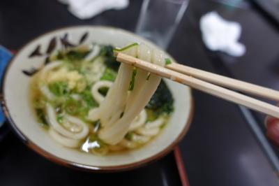 20230805 鳴門 実家行く前に朝食ってんで、たむらまでうどんをいただきに