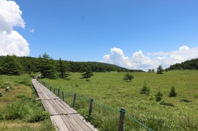 やっぱり、信州の夏はいいな～！②