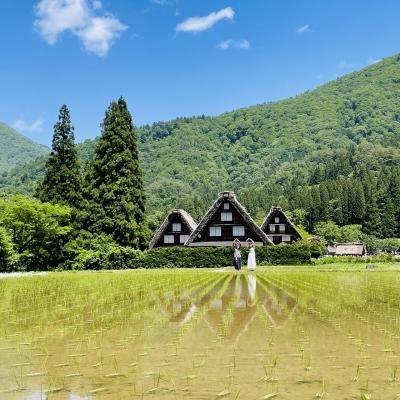 1泊2日岐阜・長野旅 2日目 観光編 《白川郷・飛騨高山・松本城》