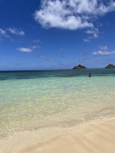 higeの旅blog～海外旅行Hawaiiの巻①～