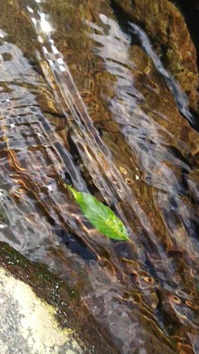 おひさしぶり~の一泊旅