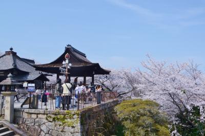 園城寺のサクラ　＆　岩間寺を巡る