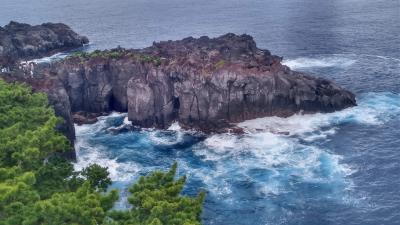 伊豆半島ひとり旅 ♪