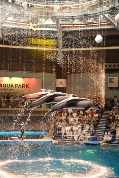 品川アクアパーク　暑い日の水族館は最高！