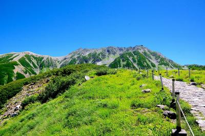 2000mより上はやはり涼しい　富山の旅（アルペンルート編）