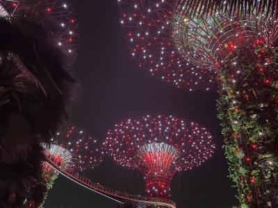 【中編】シンガポールで異国を感じ、そして食べまくる