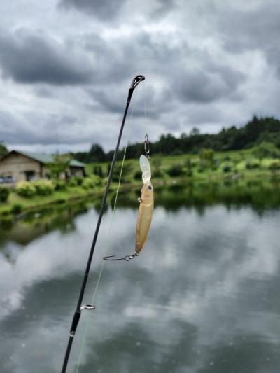 【栃木・那須高原】那須サファリパーク と つれない釣り堀釣り天国 【日帰り旅行】