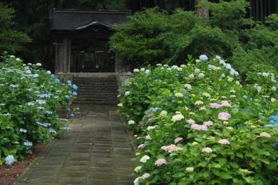 美味しいものと美しいものに触れる旅～島根県立美術館・月照寺編～