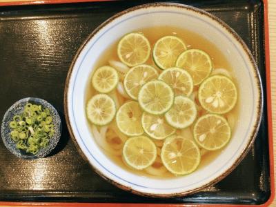 阿波踊り、讃岐うどん、道後温泉を巡る旅　②讃岐うどんのハシゴと屋島～香川編～