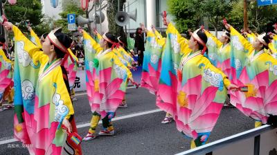 台風の合間に、高知 よさこい→徳島 阿波踊り 巡り旅（よさこい編）