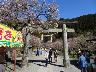 鹿児島　藤川天神ドライブ1/3