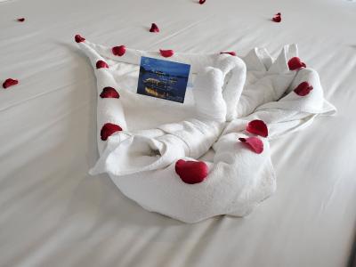 2023.8 ベトナム北部旅行3/6(世界遺産ハロン湾クルーズ1/2)