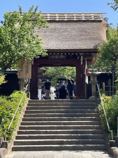 神代植物園と深大寺蕎麦を楽しみました。