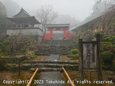 西国三十三所徒歩巡礼([番外]阿弥陀寺)