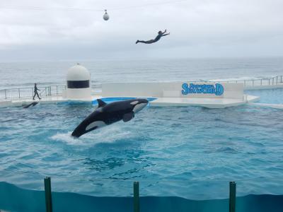 シャチの水を浴びに　孫たちと一緒に鴨川シーワールドへ