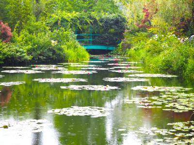 やっぱり北川村「モネの庭」と「牧野植物園」へも行きたくて高知へ☆.｡.☆:*･北川村 モネの庭☆･ﾟ:*