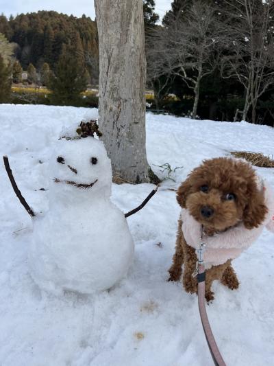 高野山で雪遊び