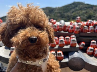 箕面勝尾寺と犬も入れる無印良品